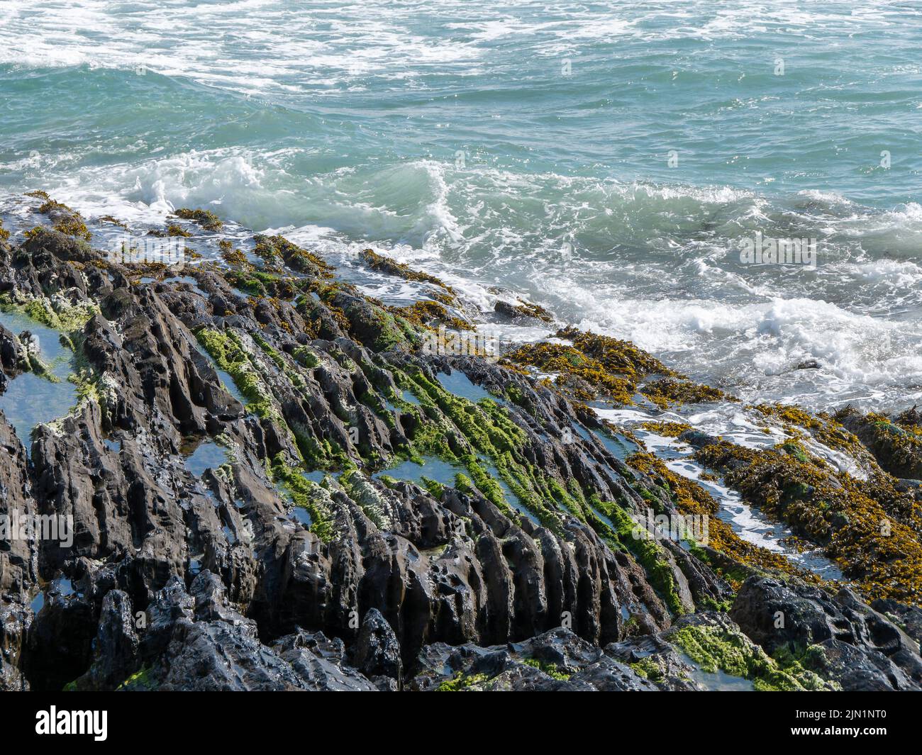 Foam on the sea waves and coastal rocks. Seaweed on rocks, landscape. Green moss on rock near body of water Stock Photo