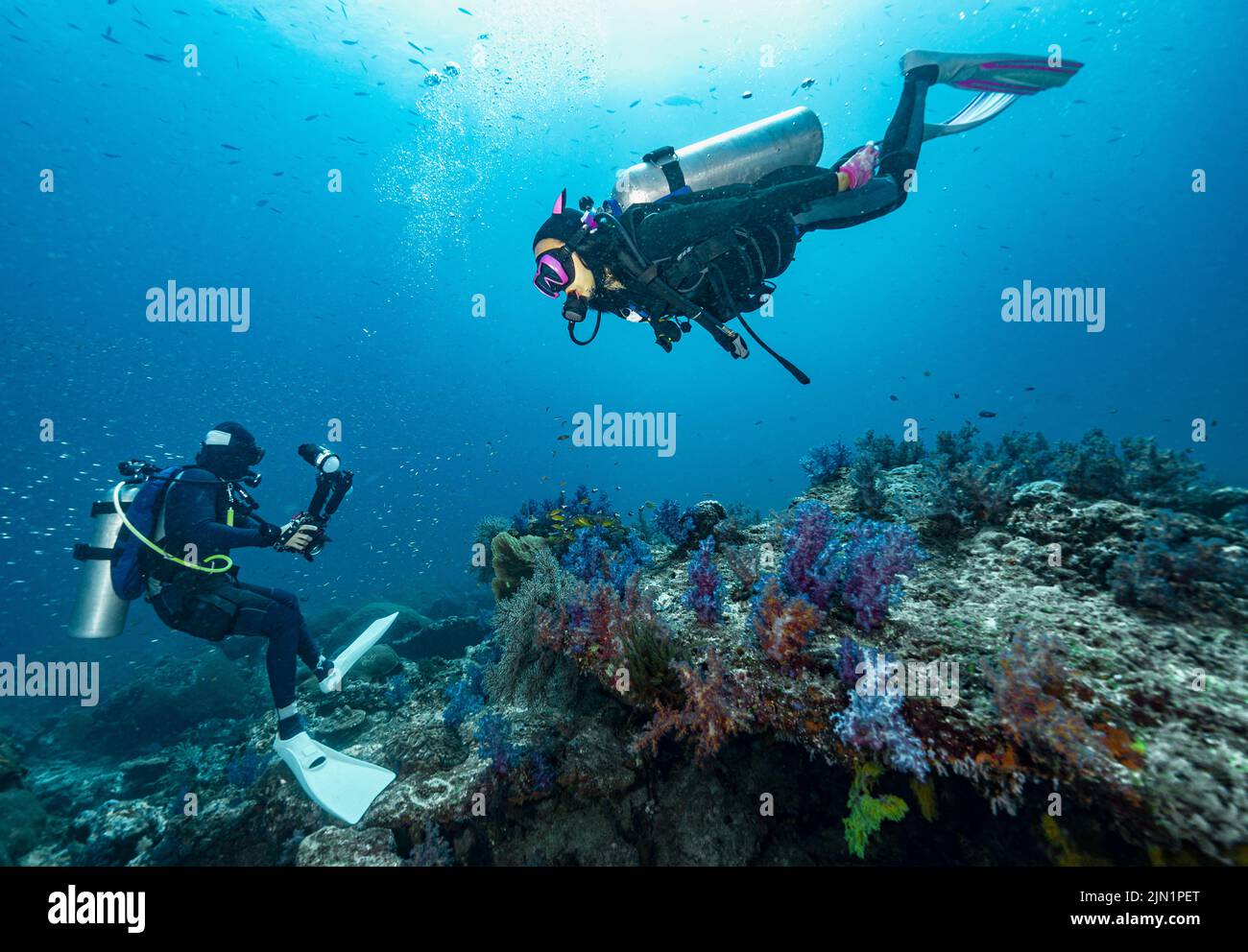 photographer takes picture of model under water Stock Photo