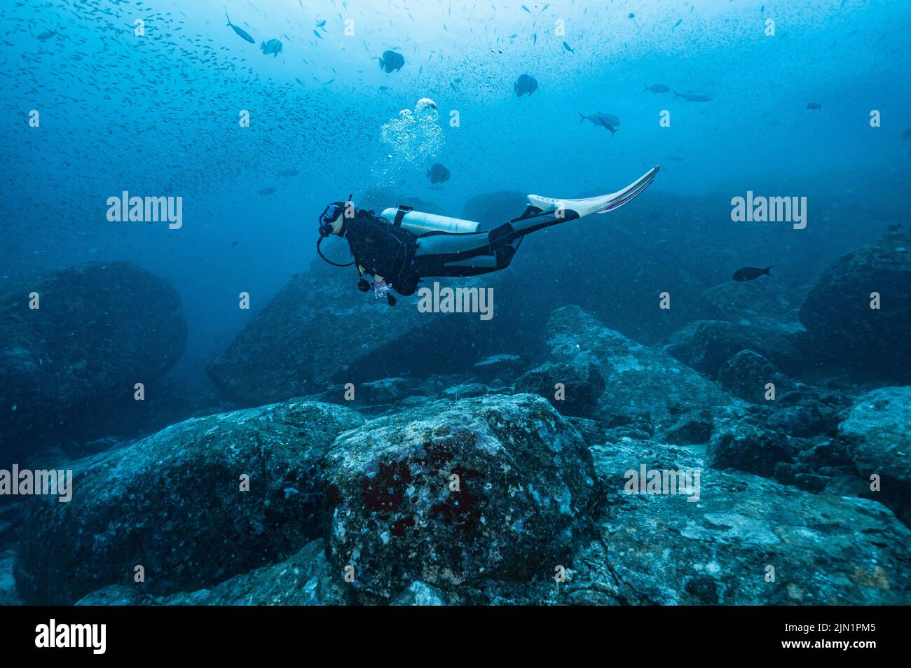 Diver emerging into the tropical waters of the Andaman Sea Stock Photo ...