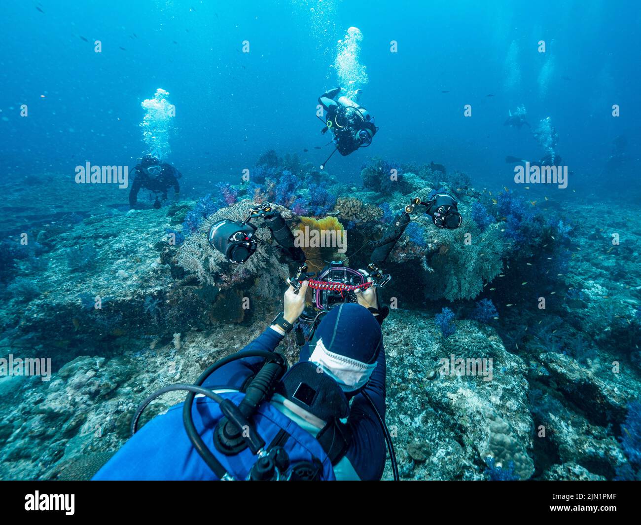 photographer takes picture of divers under water Stock Photo Alamy