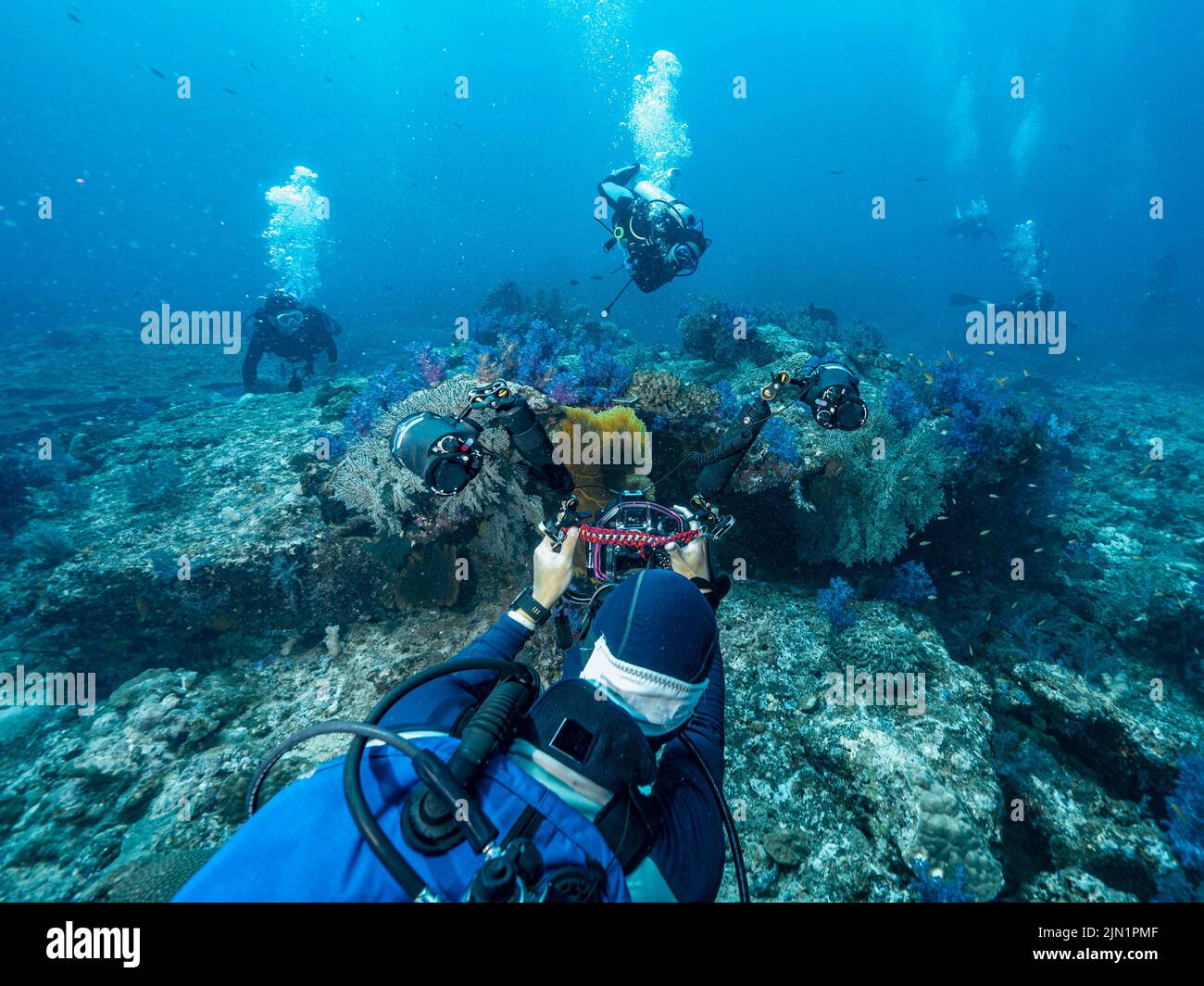 photographer takes picture of divers under water Stock Photo