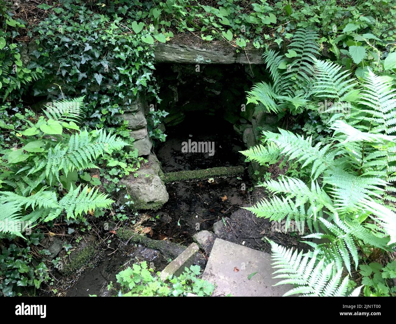 Close up, St. Mary's Well / Ffynnon Santes Fair, Holy Well in Llanrhos, Conwy, Wales, rediscovered during the clear-up in the aftermath of 1993 floods Stock Photo