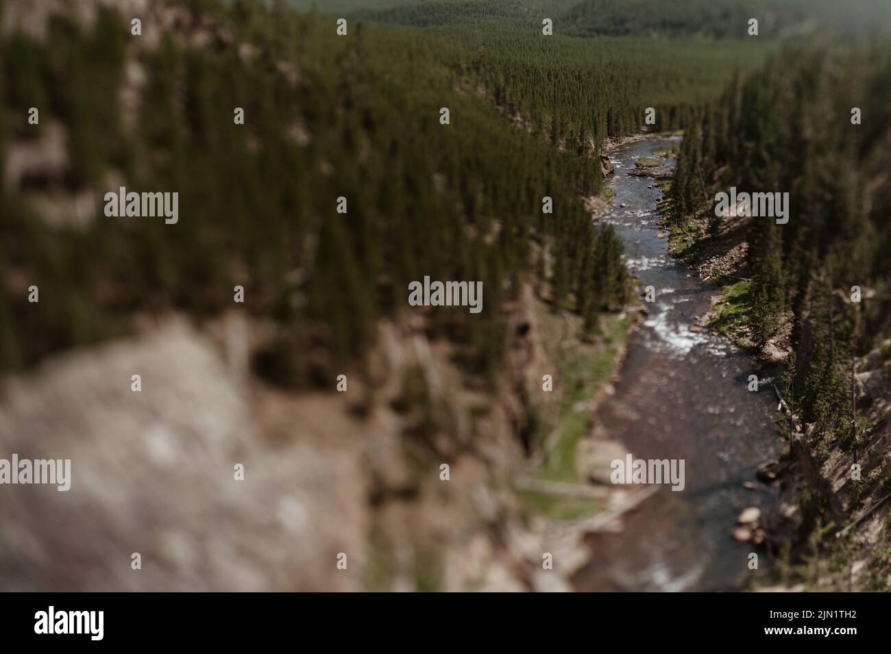 Below Gibbon Falls in Yellowstone National Park Stock Photo