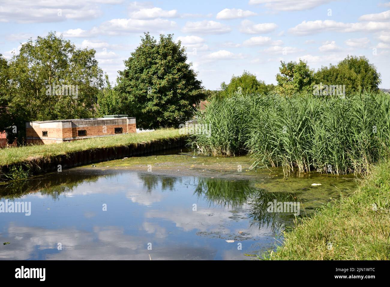 Haringey, London, UK. 8th Aug 2022. UK Weather: Drought warnings in the UK, heatwave alert for the rest of the week. General views of New River which supplies about 8% of London's drinking water. Credit: Matthew Chattle/Alamy Live News Stock Photo