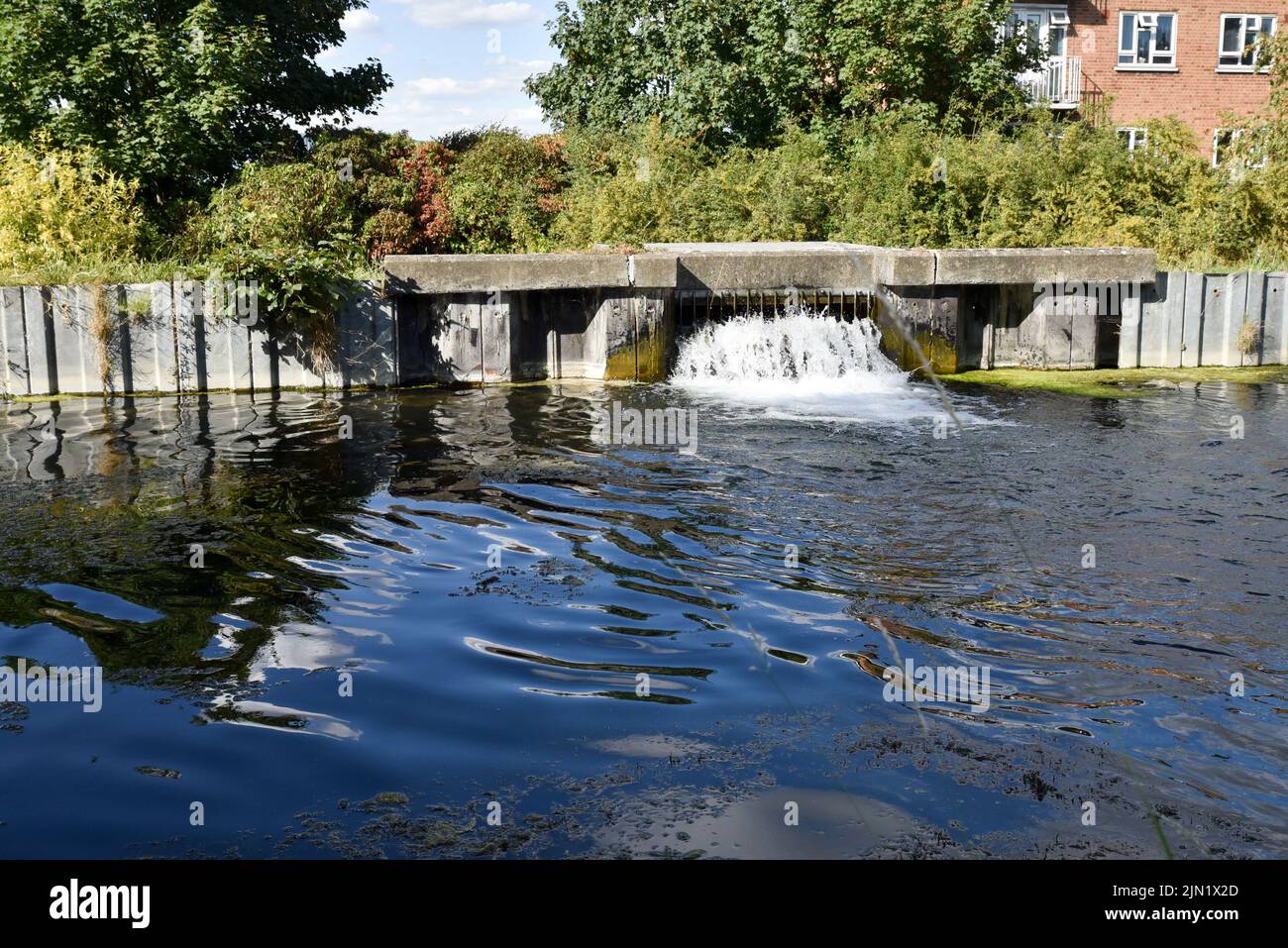 Haringey, London, UK. 8th Aug 2022. UK Weather: Drought warnings in the UK, heatwave alert for the rest of the week. General views of New River which supplies about 8% of London's drinking water. Credit: Matthew Chattle/Alamy Live News Stock Photo