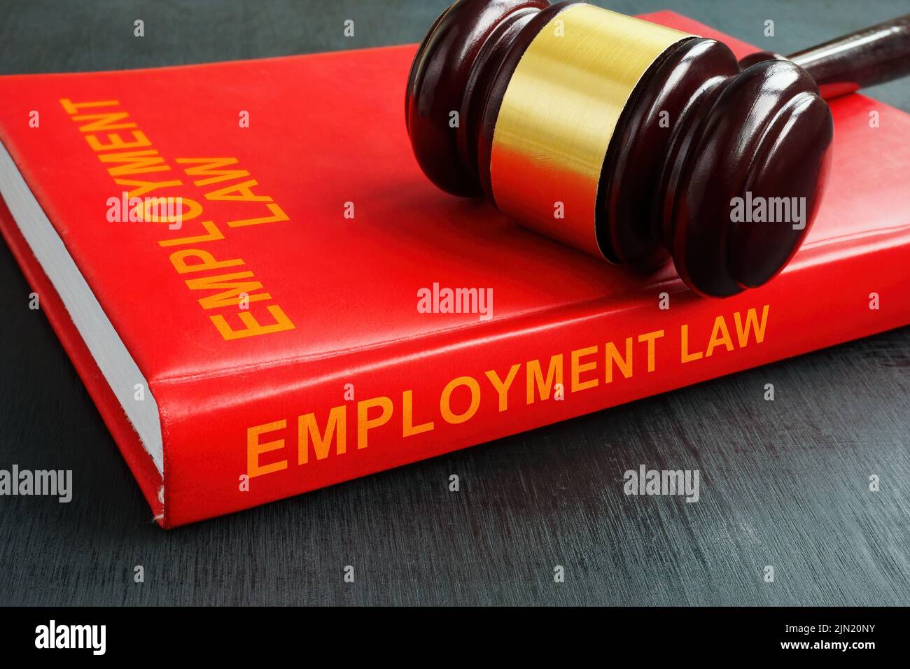 The book employment law and the gavel on it. Stock Photo