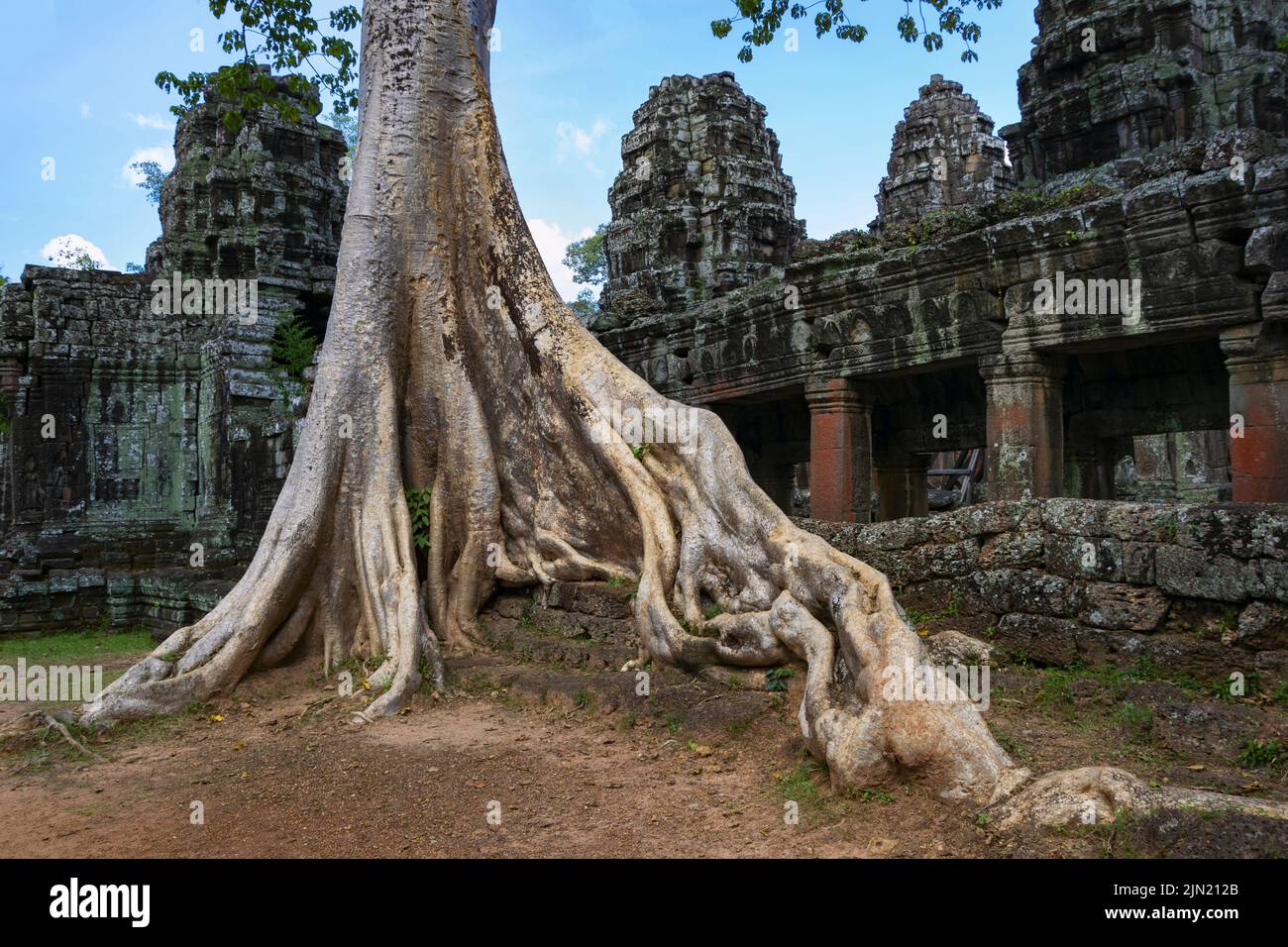 Column roots hi-res stock photography and images - Alamy
