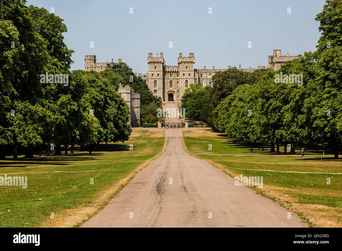 Windsor, UK. 19th July, 2022. An almost empty Long Walk in Windsor Great Park is pictured shortly after the UK's hottest ever temperature of 40.2C was recorded at Heathrow airport. The Met Office announced that London Heathrow reported a temperature of 40.2C at 12:50, making it provisionally the first ever time that the threshold of 40 degrees Celsius had been broken in the UK. Credit: Mark Kerrison/Alamy Live News Stock Photo