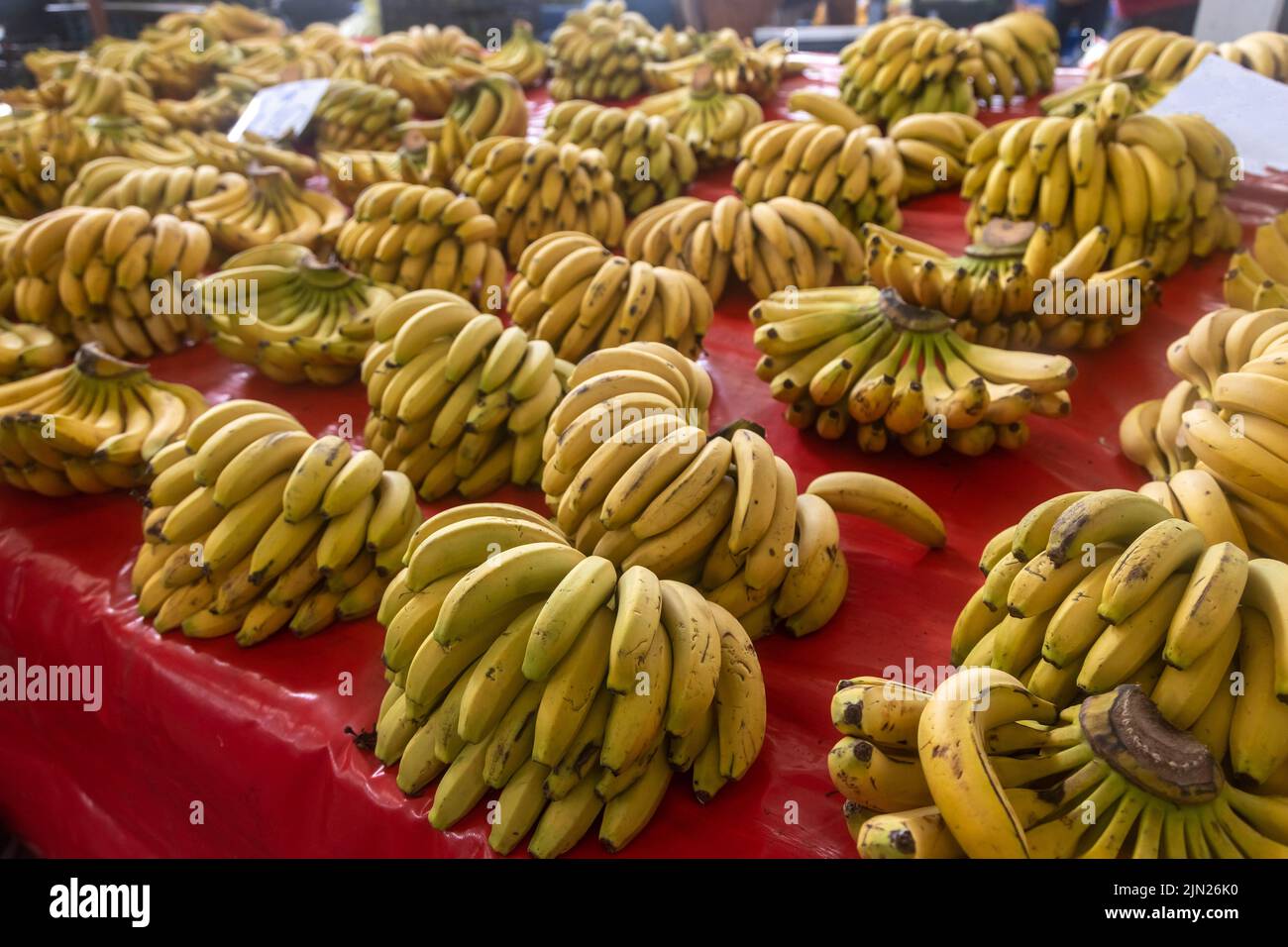 Buying fresh organic produce at the farmers' market. Fresh bananas on the counter Stock Photo