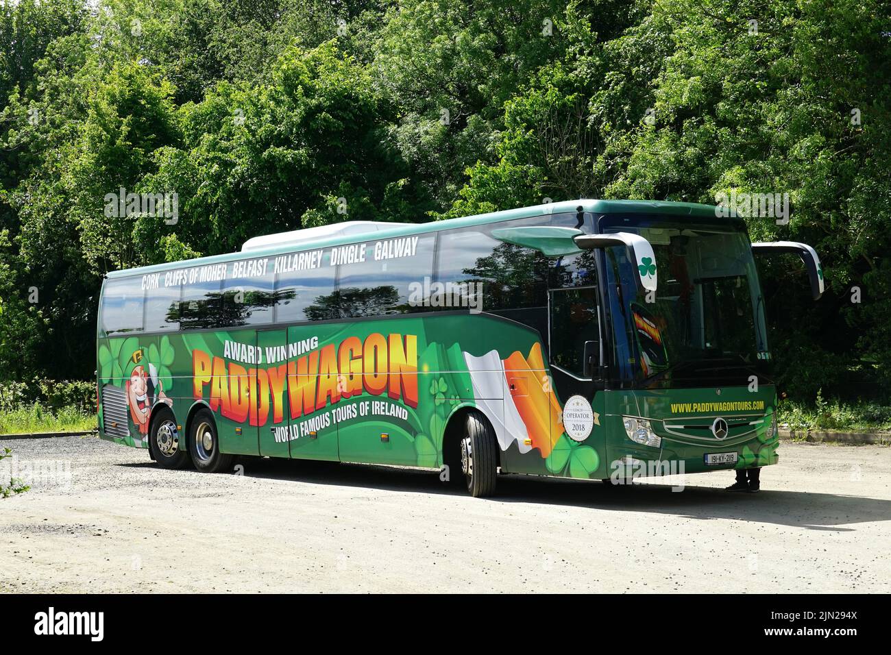 Mercedes bus, Paddywagon Irish sightseeing tour bus, Dark Hedges, County Antrim, Northern Ireland, Tuaisceart Éireann, United Kingdom, Europe Stock Photo