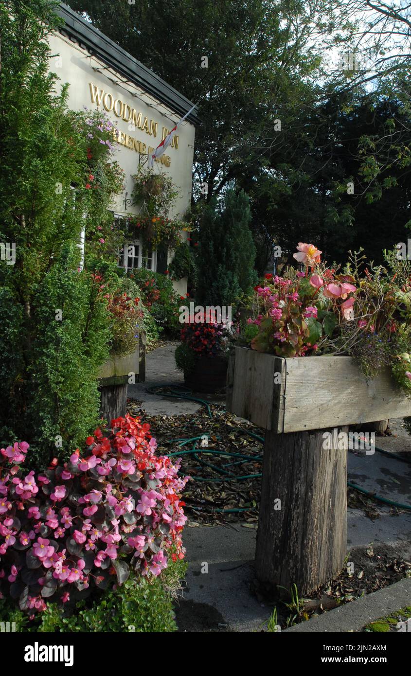 November flowers .The woodman inn near marwell, hants is still a blaze