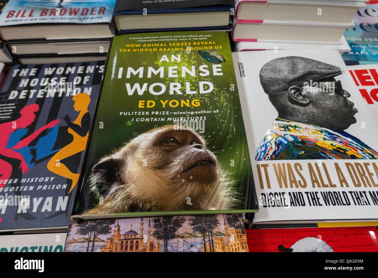 Barnes & Noble Booksellers on Fifth Avenue in New York City has a large selection of books, USA  2022 Stock Photo