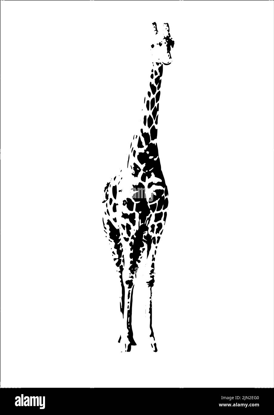 Single giraffe artwork for patterns and prints. African wildlife artwork. Giraffe logo or stamp. Animal graphic. Stock Photo