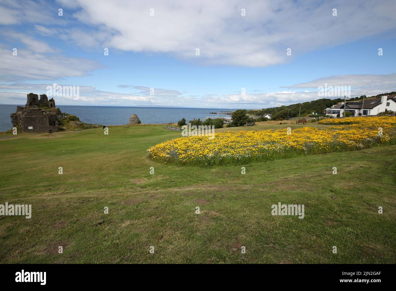 Kennedy Park, Dunure, Ayrshire, Scotland, UK  has been planted with wild flower meadow patches by the local authority South Ayrshire Council. Photo show the large expanse of the meadow with the village of Dunure in the background Stock Photo