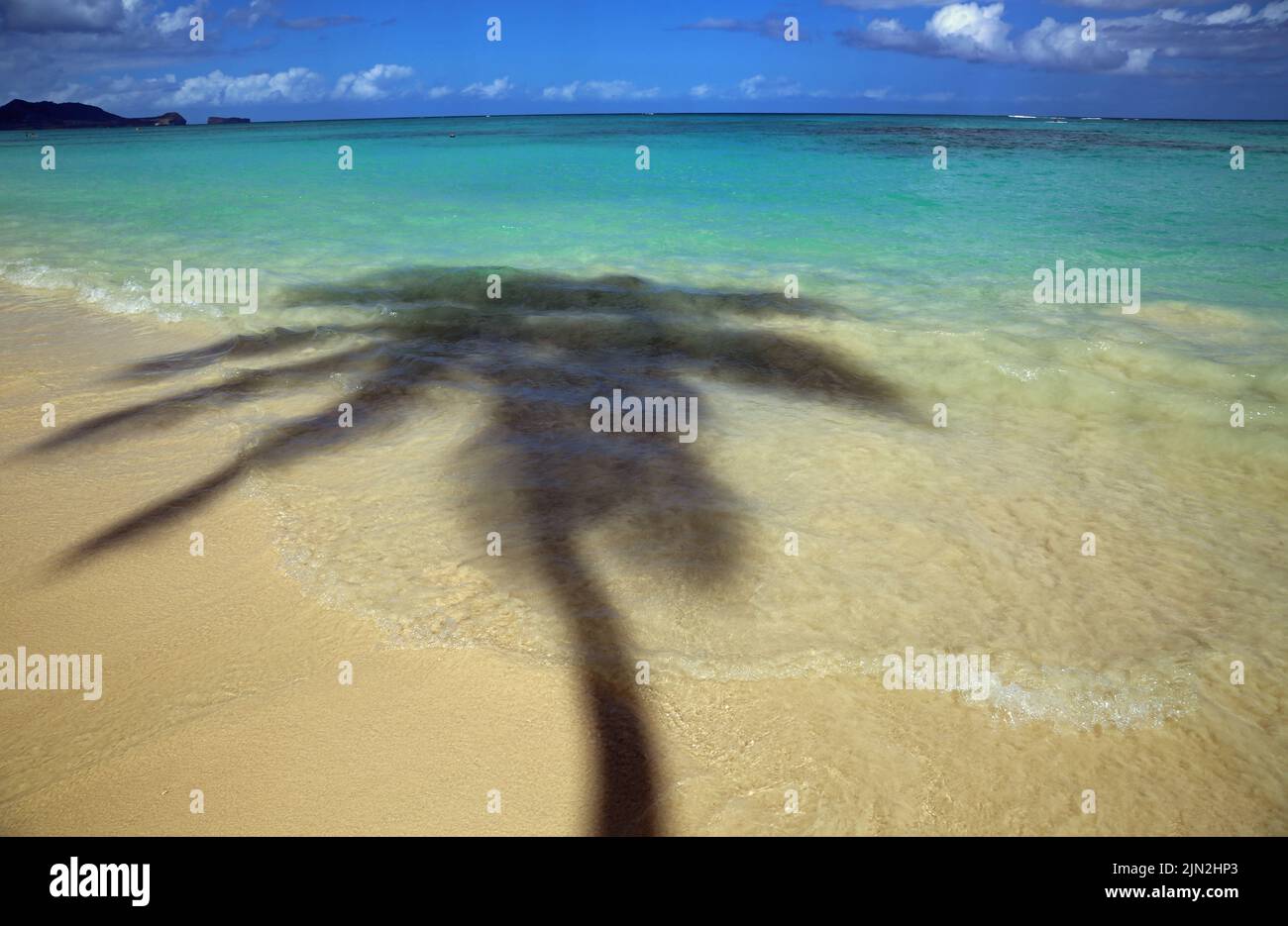 Tropical beach - Hawaii Stock Photo