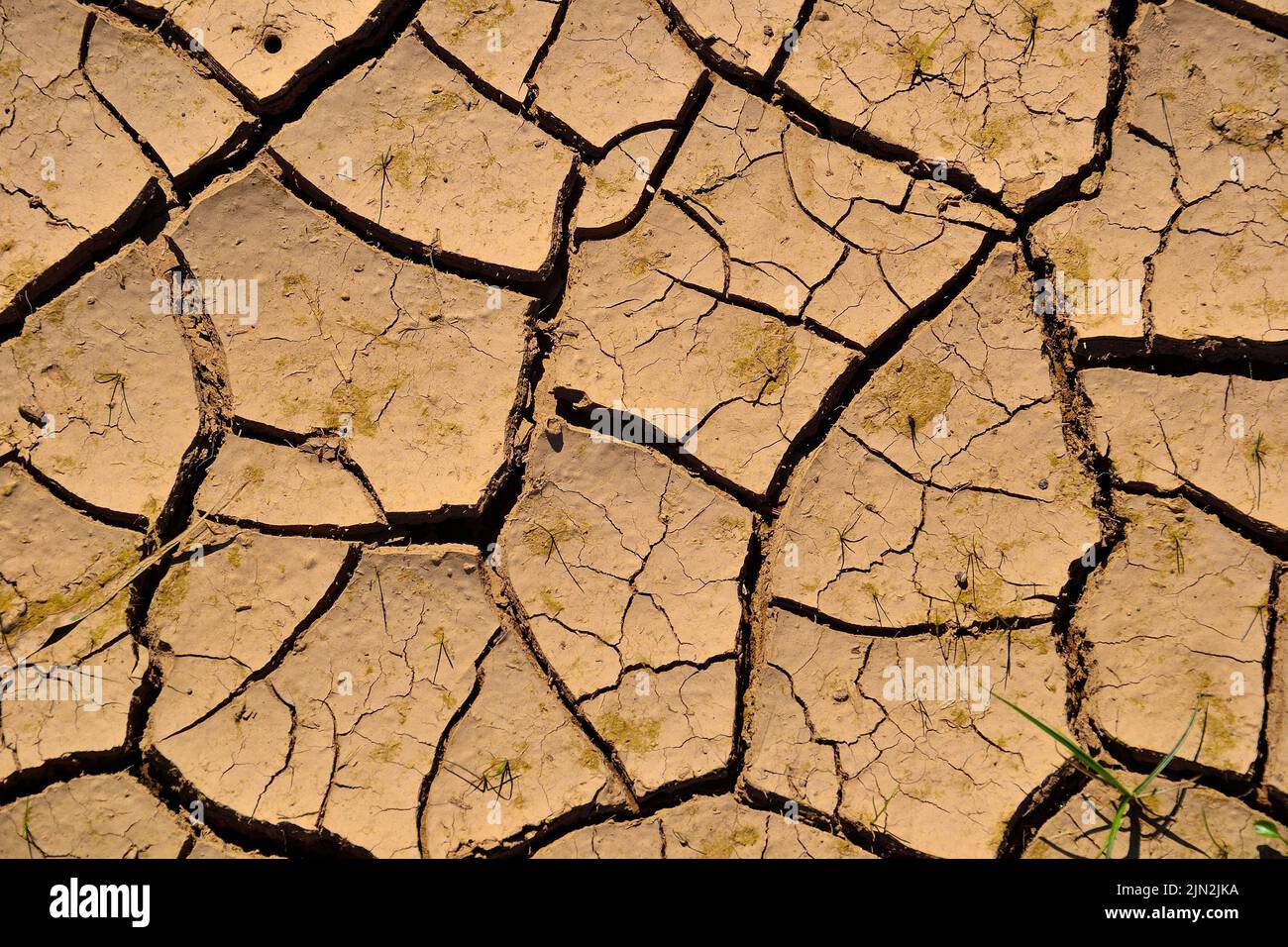 Dry cracked soil texture, drought - global warming and climate change concept. Arid clay ground. Danger of ecology disaster, food crisis and hunger. D Stock Photo