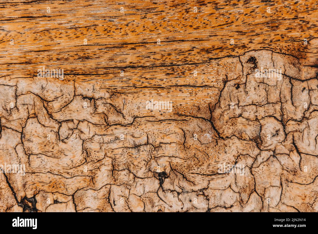 Close-up old cracked wooden surface, textured wooden background. The surface of the old brown wood texture. Stock Photo