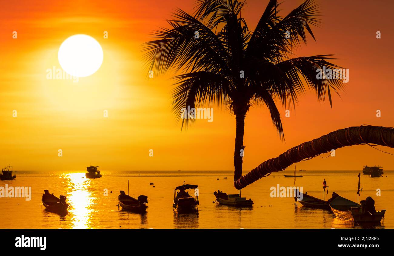 Sunset on Koh Tao Island. Traditional boats and tropical island landscape. Thailand's famous travel and holiday island. Stock Photo