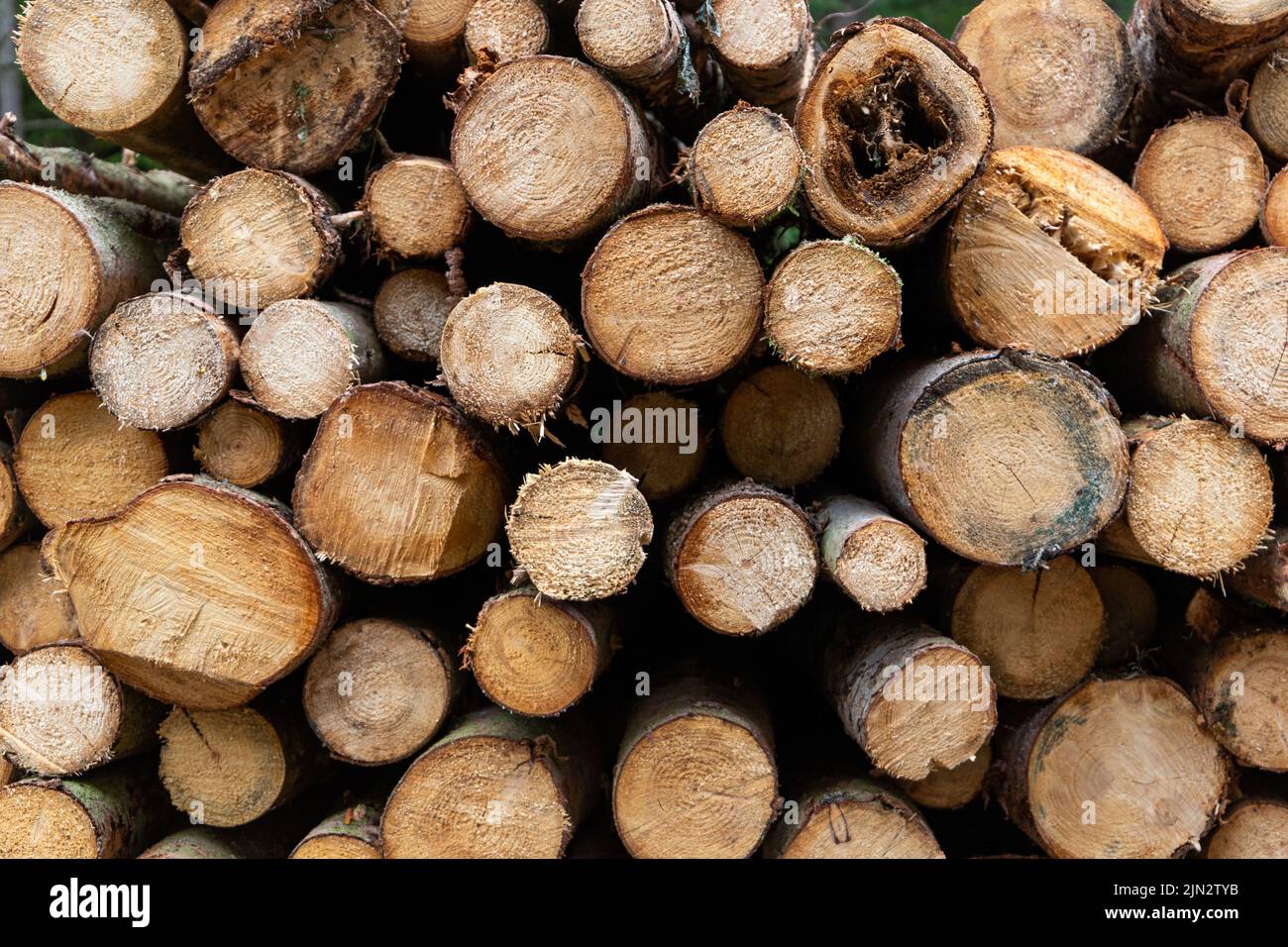 Stacked wood closeup texture. Firewood storage background. Stocks of