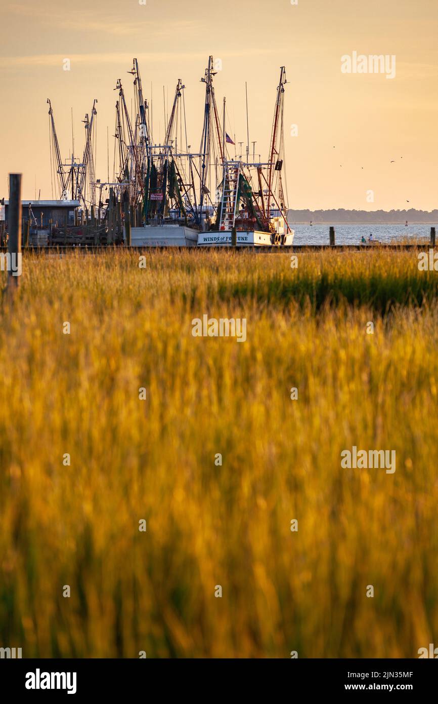 Shrimp boats tied up on Shem Creek at sunrise in Mount Pleasant, South Carolina Stock Photo