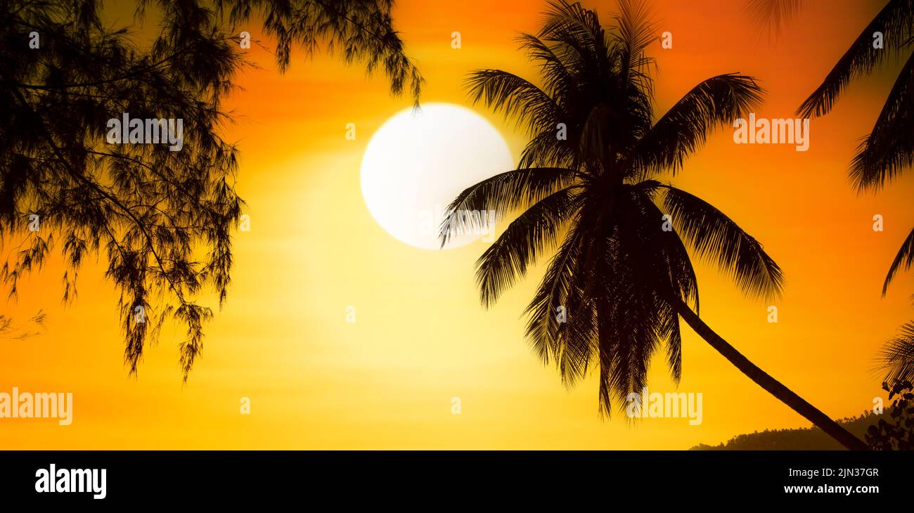 Sunny sunset on the seashore with palm tree silhouette.Summer background for beach banner,poster,flyer. Stock Photo