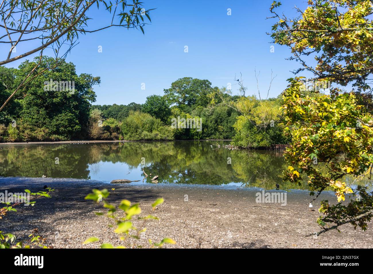 Southampton, Hampshire UK. 8th of August 2022. Unusually low water levels at Cemetery Lake at the Common due to prolonged dry weather conditions during July and August 2022 in Southern England, UK Stock Photo