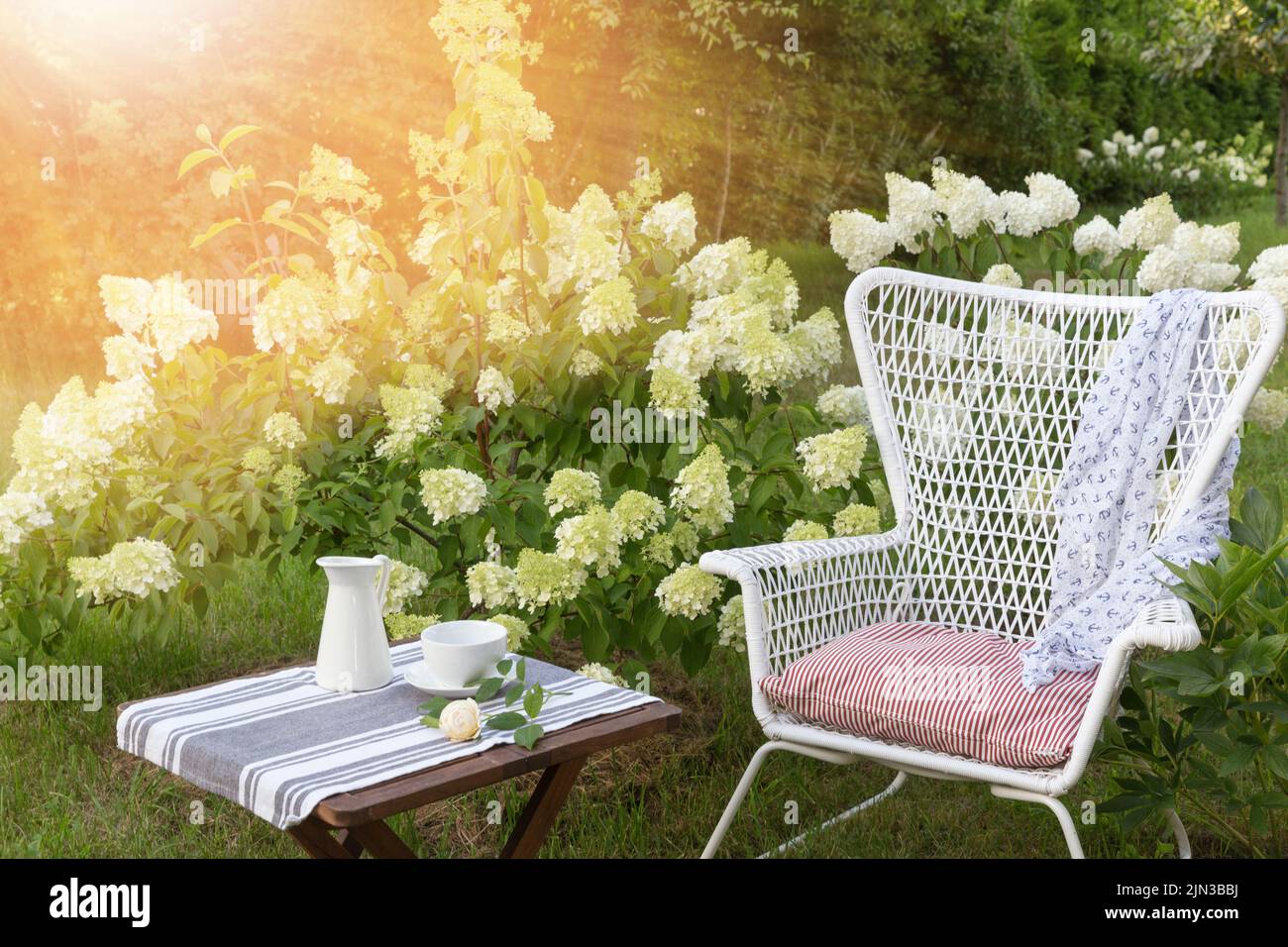 Romantic seating area in the garden, wooden table and white wicker chair near large blooming hydrangea bushes Stock Photo