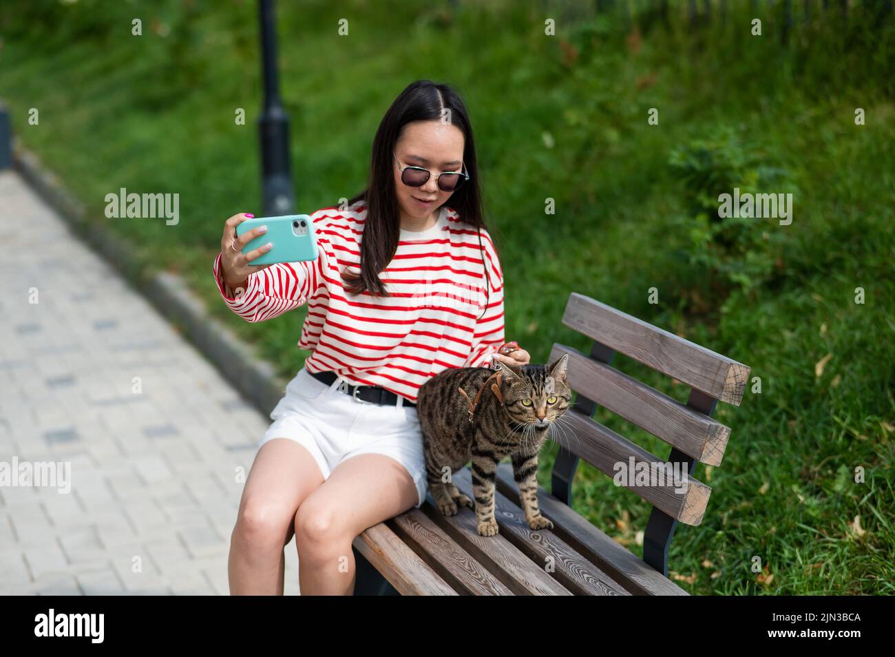 Young woman sits on a bench with a tabby cat and takes a selfie on a smartphone outdoors.  Stock Photo
