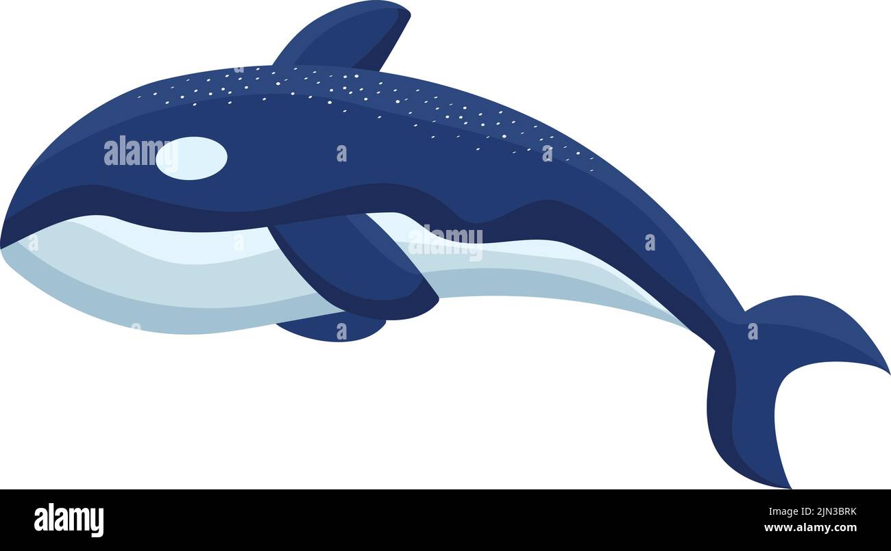 killer whale illustration Stock Vector Image & Art - Alamy