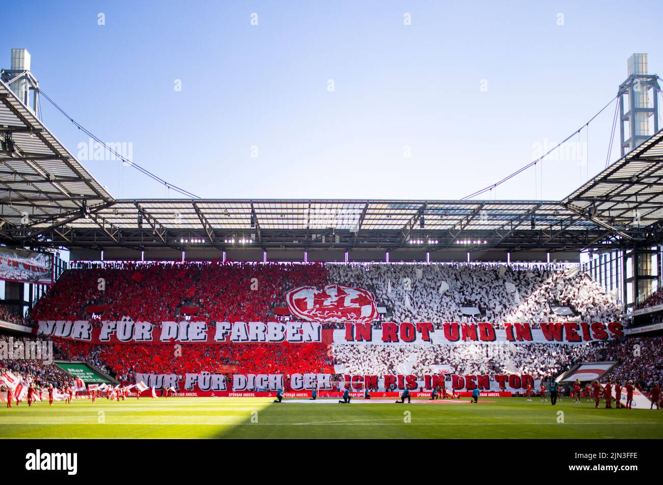 FC Fans mit Choreographie: Nur für die Farben in rot und weiss - Nur für dich geh ich bis in den Tod 1. FC Köln - FC Schalke 04 07.08.2022, Fussball; Stock Photo