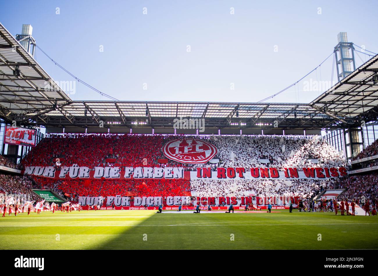 FC Fans mit Choreographie: Nur für die Farben in rot und weiss - Nur für dich geh ich bis in den Tod 1. FC Köln - FC Schalke 04 07.08.2022, Fussball; Stock Photo