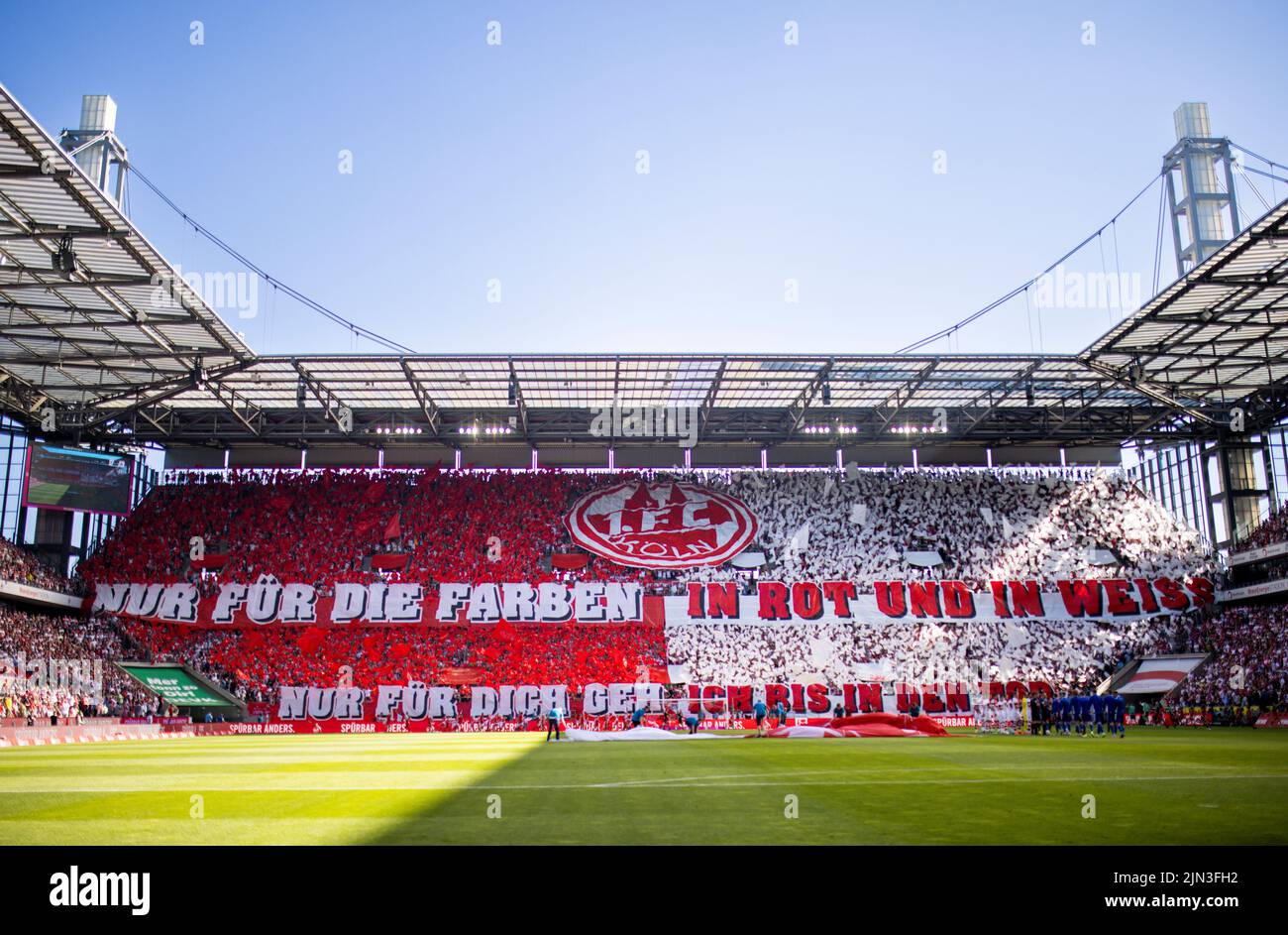 FC Fans mit Choreographie: Nur für die Farben in rot und weiss - Nur für dich geh ich bis in den Tod 1. FC Köln - FC Schalke 04 07.08.2022, Fussball; Stock Photo