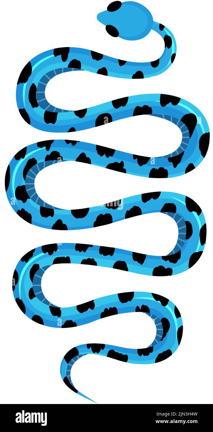 Banded Sea Krait. Blue snake. Tropical toxic reptile. Dangerous exotic rattlesnake. Hand drawn vector illustration. Stock Vector