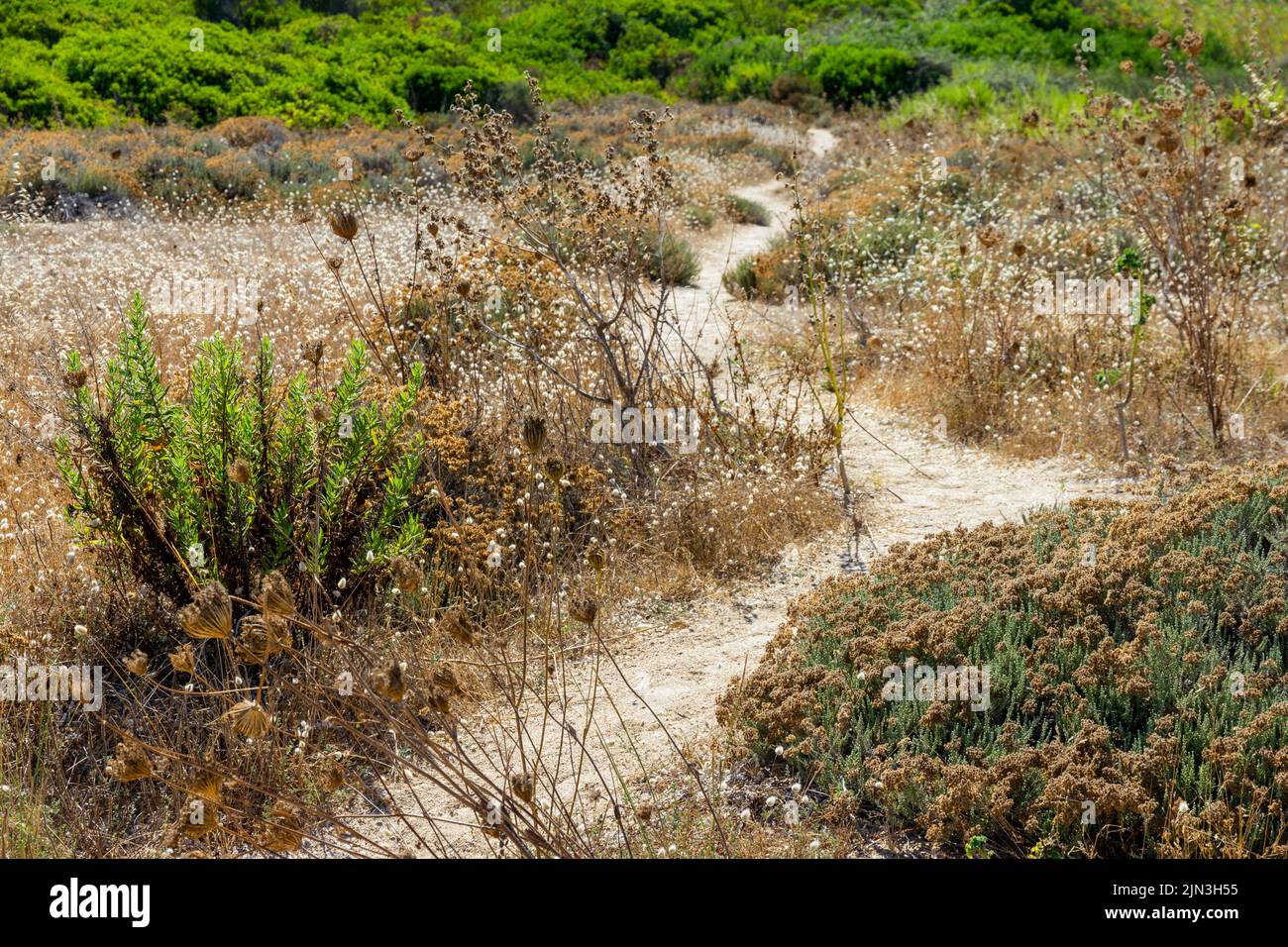 sandy footpath Sciumara Beach Palau Sardinia Stock Photo