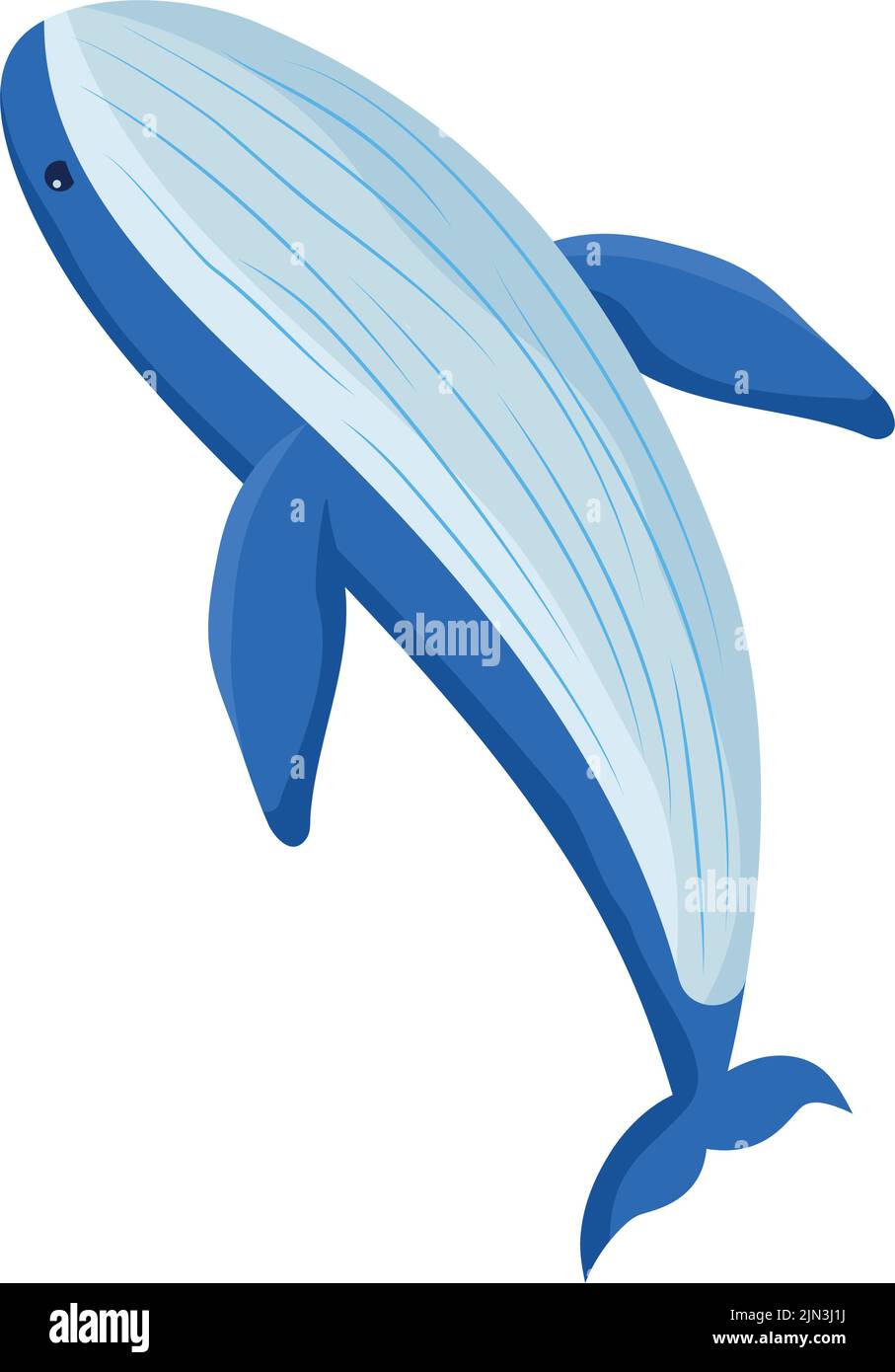 blue whale illustration Stock Vector Image & Art - Alamy