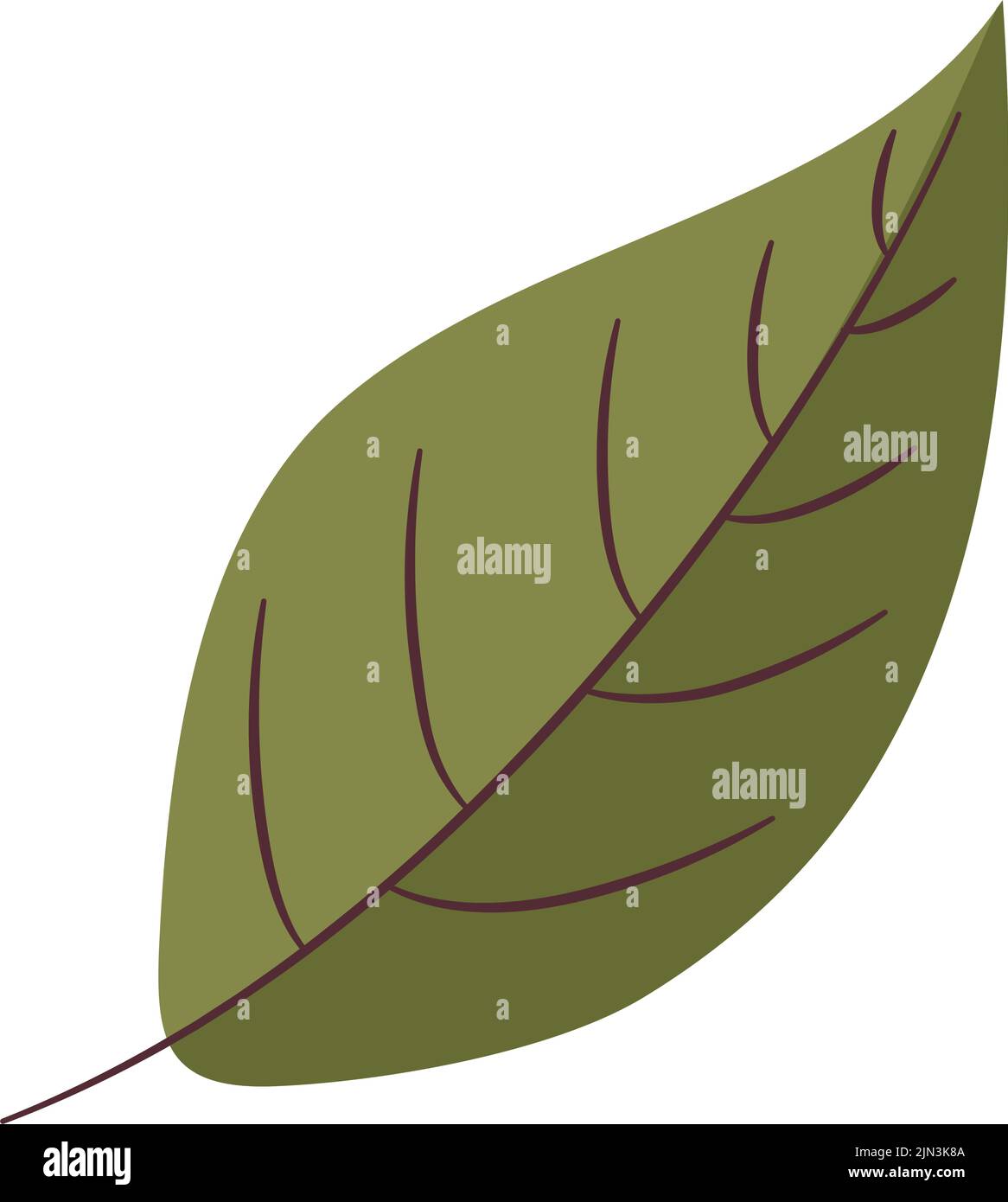 green leaf illustration Stock Vector Image & Art - Alamy