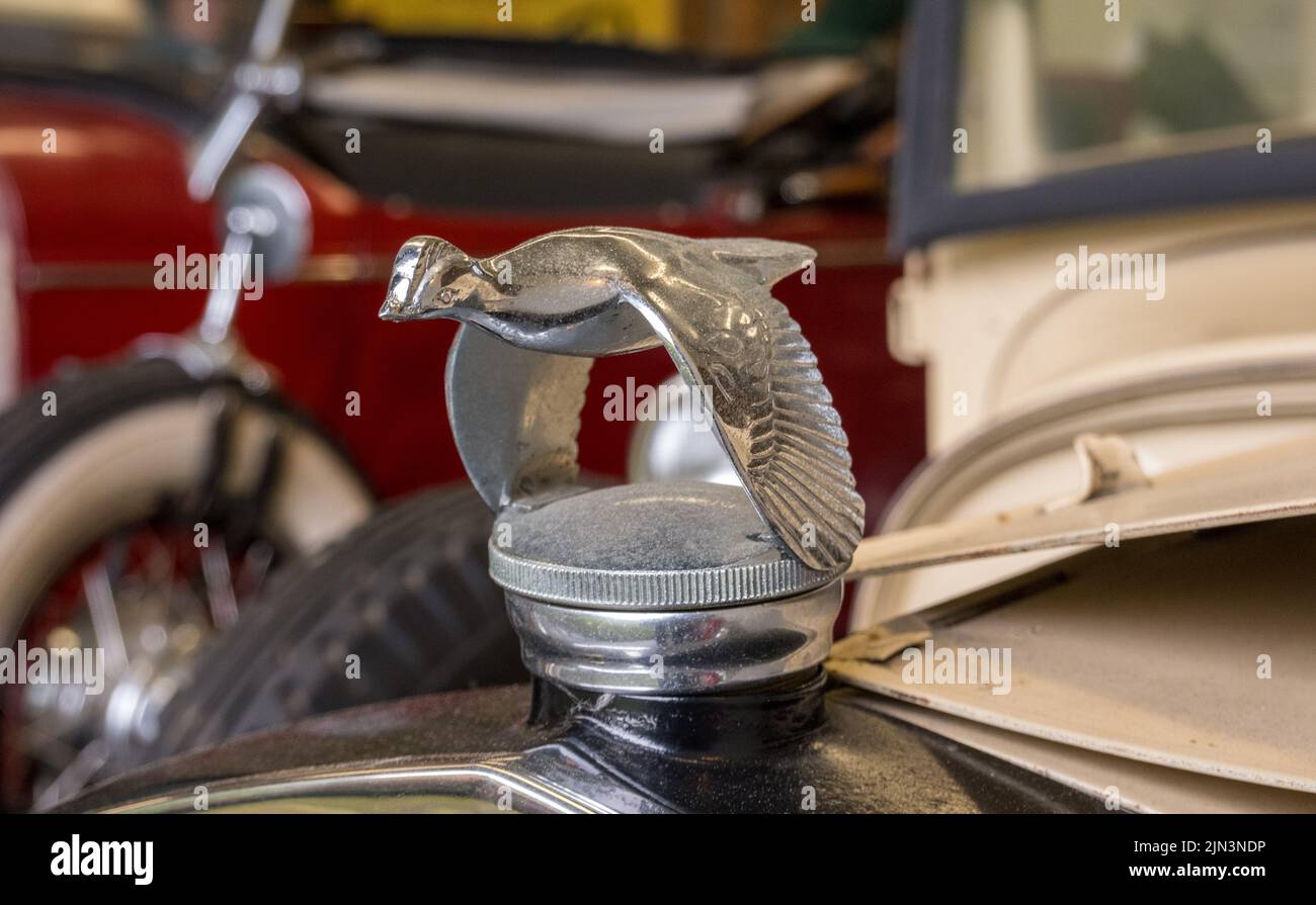 Ketchikan, AK - 10 June 2022: Flying quail or bird as hood radiator ornament on Model A vintage car Stock Photo