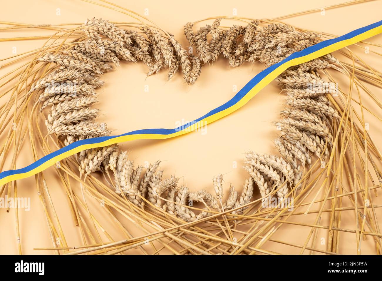 wheat heart from ukraine concept, stop grain crisis. Stock Photo