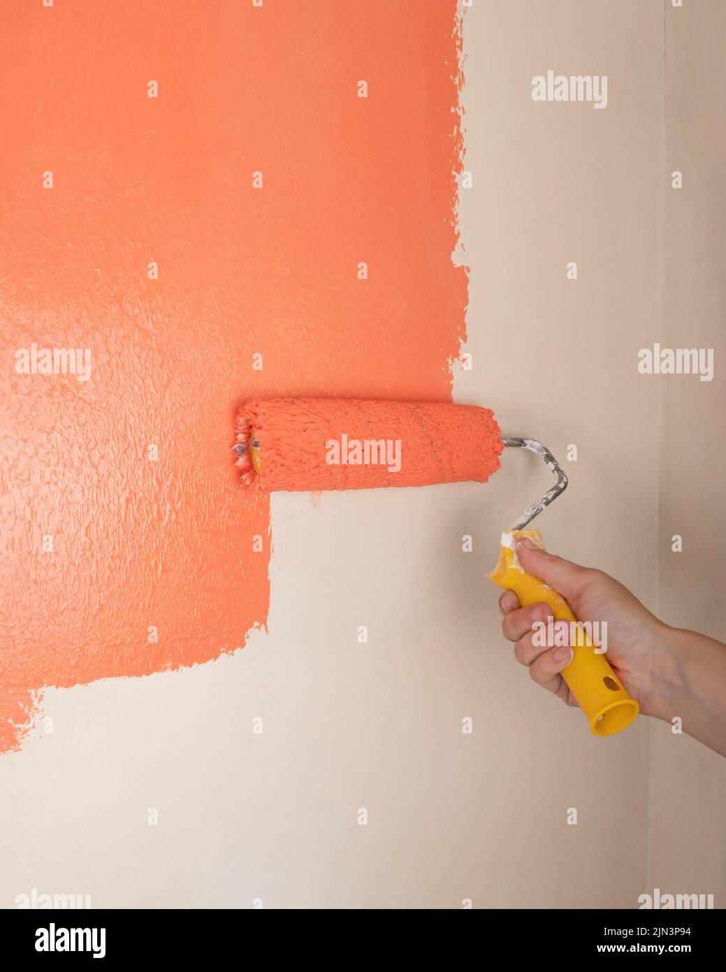 painting the wall with orange paint closeup, cosmetic repairs in the house. Stock Photo