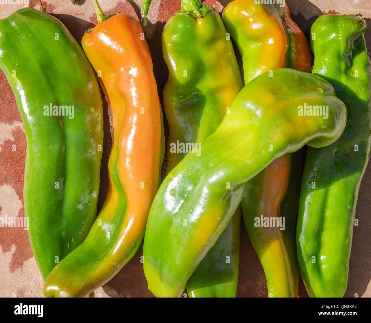 Close up of New Mexico Green Chile Peppers. Stock Photo