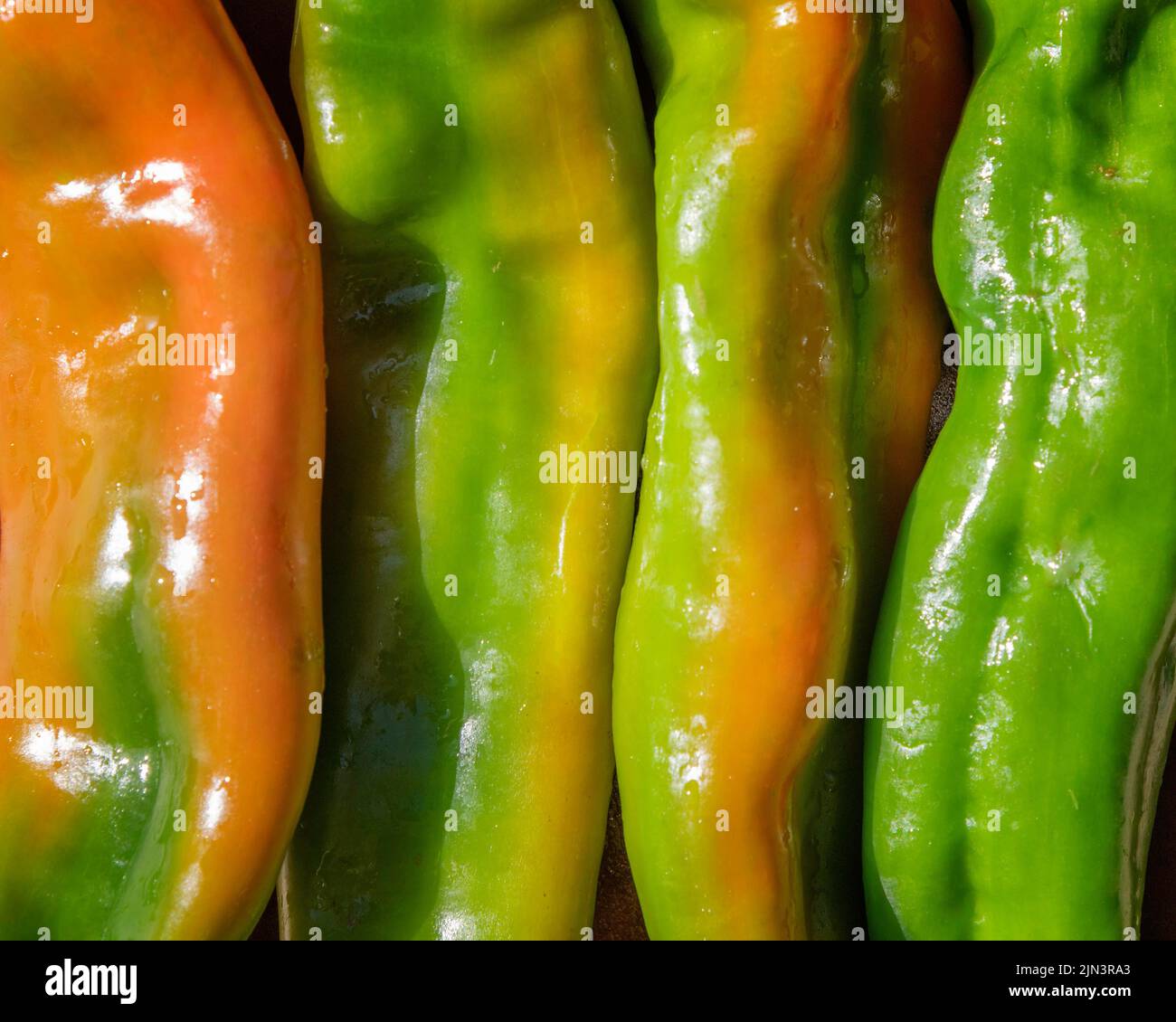 Close up of New Mexico Green Chile Peppers. Stock Photo