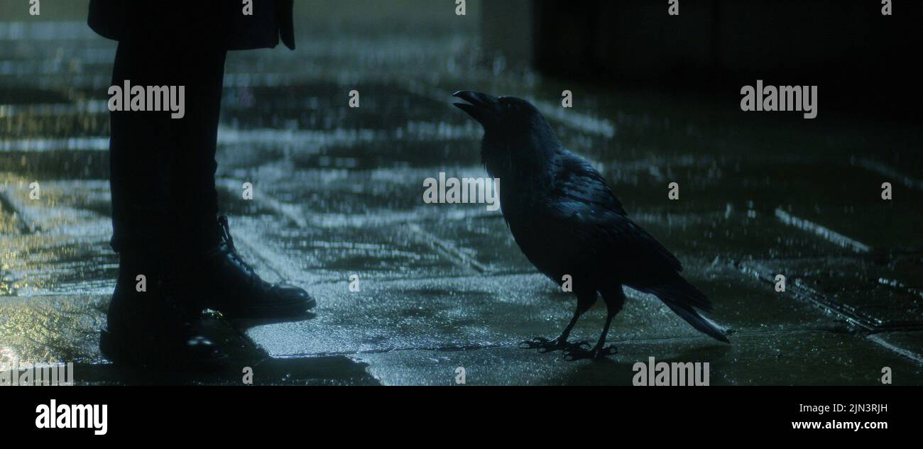 THE SANDMAN, Matthew the Raven (voice: Patton Oswalt), (Season 1, ep. 103, aired Aug. 5, 2022). photo: ©Netflix /Courtesy Everett Collection Stock Photo