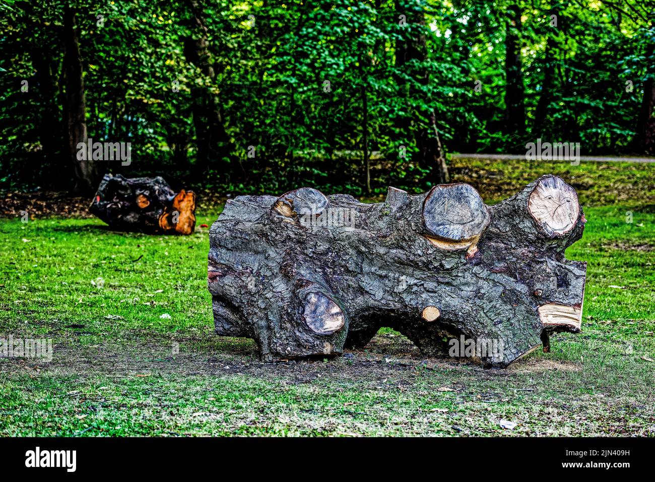 Neues Rathaus Hannover. Deutschland Stock Photo - Alamy