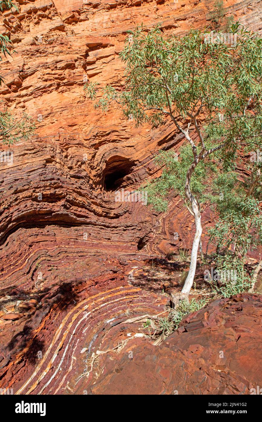 Twisted rock at Hamersley Gorge, Karijini National Park Stock Photo