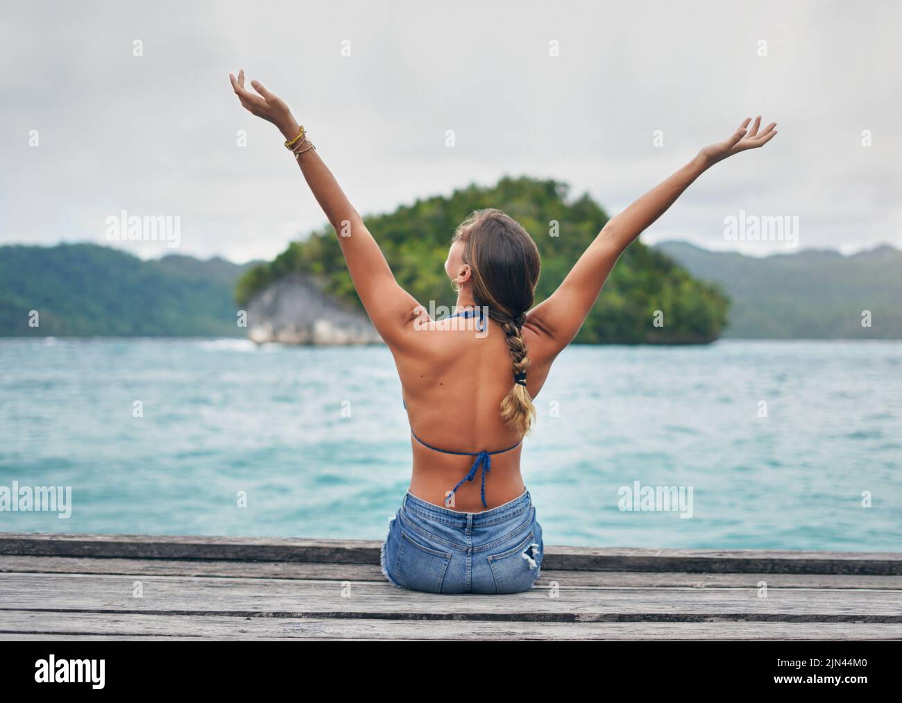 In the end, we only regret vacations not taken. Rearview shot of an unrecognizable woman sitting with her arms raised on a boardwalk overlooking the Stock Photo