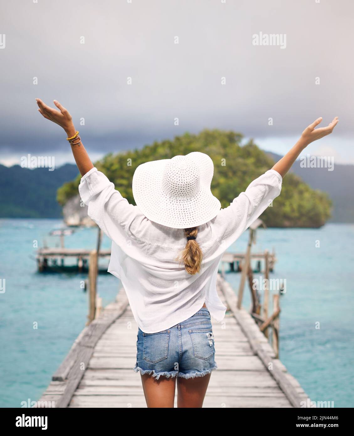 I waited so long for this holiday. Rearview shot of an unrecognizable woman standing with her arms raised on a boardwalk overlooking the sea during Stock Photo