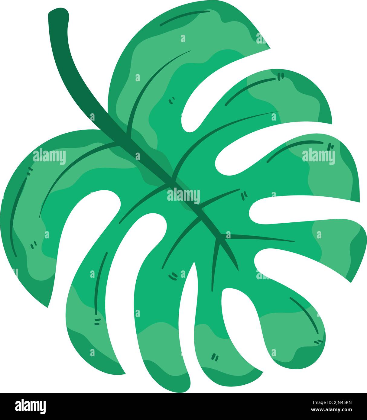 tropical leaf plant foliage nature icon Stock Vector Image & Art - Alamy