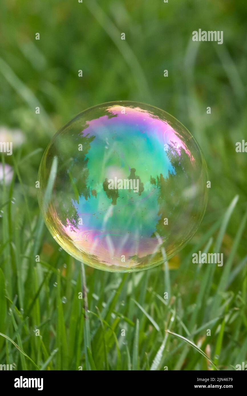 Soap bubbles in the grass Stock Photo Alamy