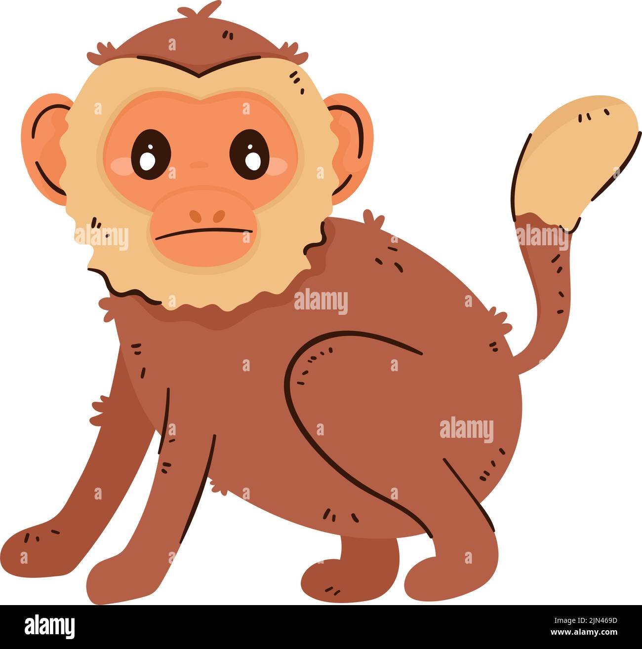 tamarin monkey animal wild character Stock Vector Image & Art - Alamy