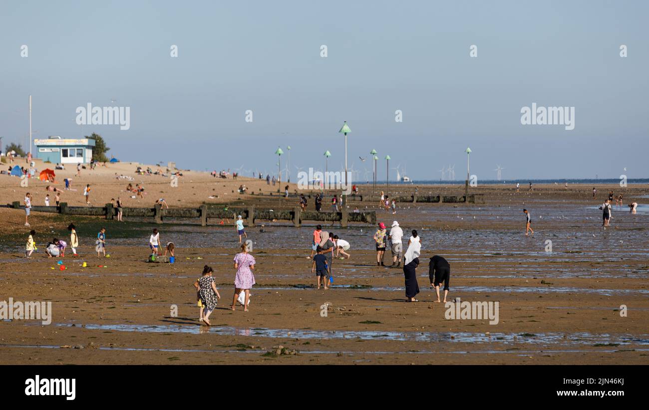 Southend beach at low tide in the summer heatwave, with people of multi cultures playing in the sandy mud Stock Photo